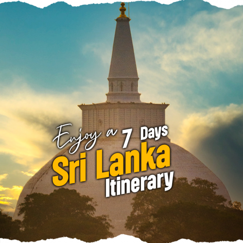 Sri Lankan Heritage & History